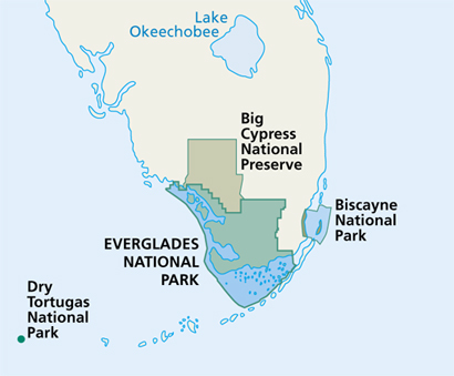 Zollitsch Canoe Adventures: Ten Years In The Everglades