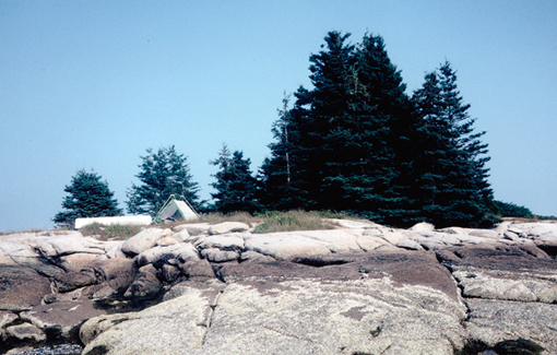 Hog Island