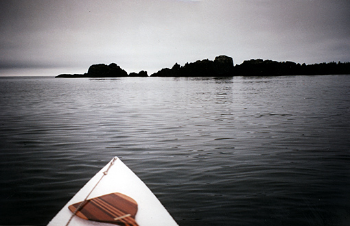 Ledgy fingers of Maces Bay
