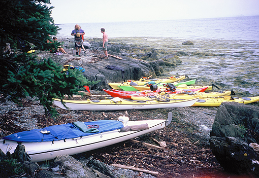 kayakers