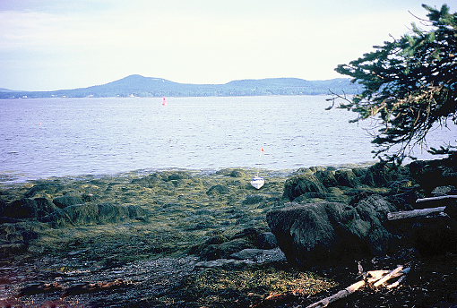 camping