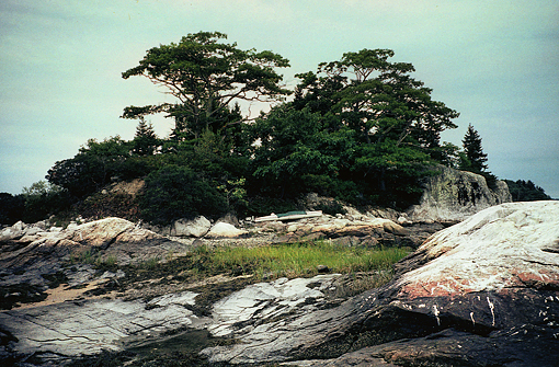 havener ledge