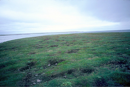 nordspitze neufundlands
