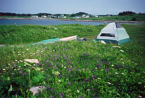 old ferrolle harbor