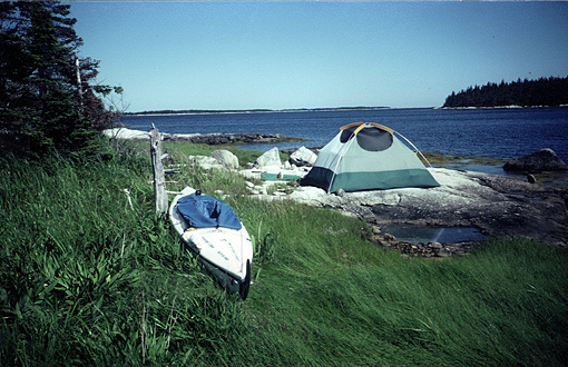 A minimal perch in Portage Cove