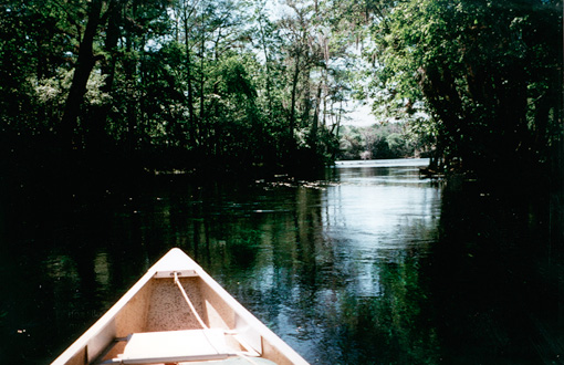 Manatee Springs State Park
