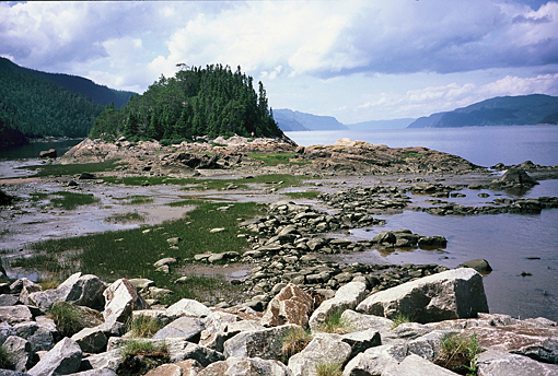 fjord